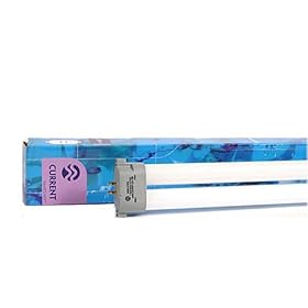 Dual Actinic - 420 460nm Power Compact Lamp - Square Pin - 65W by CURRENT USA INC