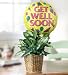 Flowers by 1800Flowers - Get Well Green Plant with Balloon - Small