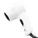 Andis Micro Turbo 1600-Watt Dryer