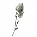 Jewelry : Unique Sterling Silver Rose and Leaf Filigree Pin