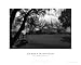Bridge to Church Religion & Philosophy Art Poster Print by Darren McMaster, 20x16