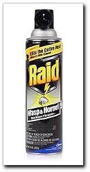 Johnson S C Inc 01353 Wasp And Hornet Killer