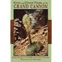 River And Desert Plants of the Grand Canyon