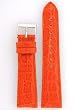 Watch Band Genuine Crocodile Built-In Spring Bars Ladies Length 20 millimeter Watch Band Genuine Crocodile Built-In Spring Bars Ladies Length 20 millimeter