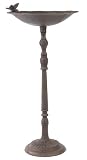 Buy Garden Bird Bath Now 31SMfGVqL3L. SL160 Buy Garden Bird Bath Now