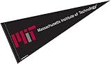 MIT Pennant Full Size Felt