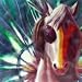 HORSE OF A DIFFERENT COLOR WARRIOR CANVAS WALL ART