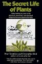 The Secret Life of Plants