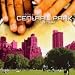 Central Park Rumba