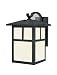 Westinghouse 64830 1-Light Outdoor Downward Wall Sconce, Textured Black with Art Glass