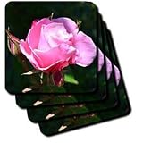 dramatic rose - Set Of 4 Ceramic Tile Coasters