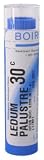 Boiron - Ledum Palustre 30c, 80 pellets