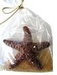 Chocolate Starfish Gift Bag, White Chocolate