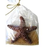 Chocolate Starfish Gift Bag, Dark Chocolate
