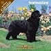 2008 Newfoundland 2008 16 Month Wall Calendar **IN STOCK NOW**