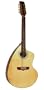 Giannini GWSCRA 12 Brazil Series Steel Craviola® Guitar (Acoustic, 12-String)