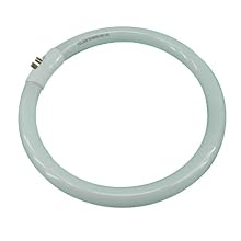 Normande Lighting NFS22WCT5 22W Daylight Circular Bulb