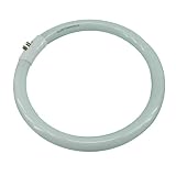 Normande Lighting NFS22WCT5 22W Daylight Circular Bulb