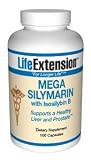 Mega Silymarin with Isosilybin B, 100 capsules