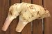 Thai Fresh galangal - 14 oz