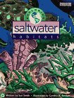 Exploring Saltwater Habitats (Exploring Habitats)