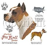 Pit Bull Adult Sweatshirt