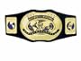WWE Championship Belts