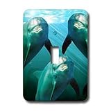 Dolphins - Curious Dolphins - Light Switch Covers - single toggle switch