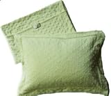 Madallie Dreamy Travel Pillow Misty Green