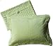 Madallie Dreamy Travel Pillow/Misty Green Image