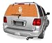 Syracuse Orangemen Rearz (24x 66) Glass Window Tattoo - NCAA College Athletics