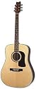 Washburn D10S Dreadnought Acoustic Guitar (Natural)