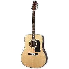 Washburn D10S Dreadnought Acoustic Guitar (Natural)