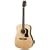 Washburn D10S Dreadnought Acoustic Guitar (Natural)