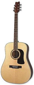 Washburn D10S Dreadnought Acoustic Guitar (Natural)