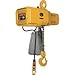 NER Dual Speed Electric Chain Hoist - 2 Ton, 15