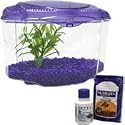 Marina Betta Kit in Purple