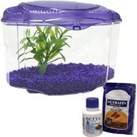 Buy Marina Betta Kit in Blue
