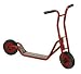 Large 2-Wheeled Scooter