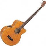 Dragonfly Fretless 5 String AB Acoustic Bass Guitar Amber