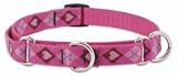 Lupine Medium Martingale Style Dog Collar - Puppy Love 14-20