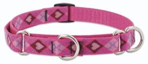 Lupine Medium Martingale Style Dog Collar - Puppy Love 19-27"