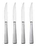 Oneida Frost 4-Piece Steak Knife Set