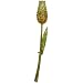 Jewelry : Yellowtulip Rhinestone Flower Pin Brooch