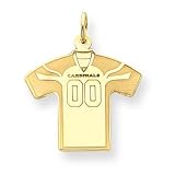 14K Arizona Cardinals Small Jersey w/Name & 00
