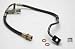 Raybestos BH380979 Brake Hose
