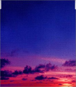 Blue Sky 華原朋美 明石昌夫 中川幸太郎