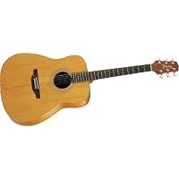 Takamine GS330S Acoustic Guitar