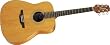 Takamine GS330S Acoustic Guitar