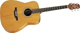 Takamine GS330S Acoustic Guitar